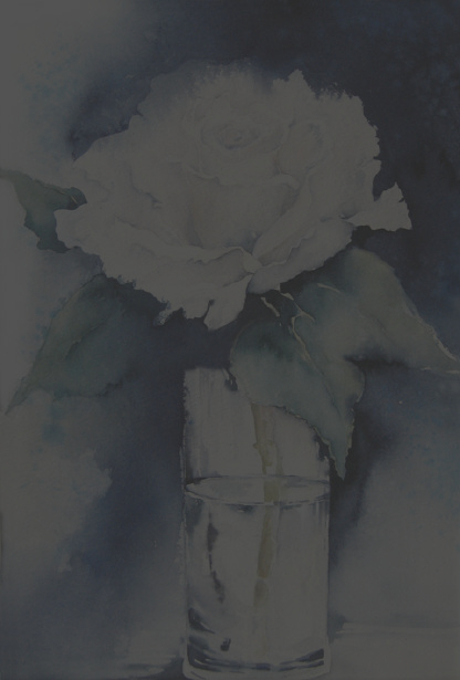 Weiße Rose mit Vase